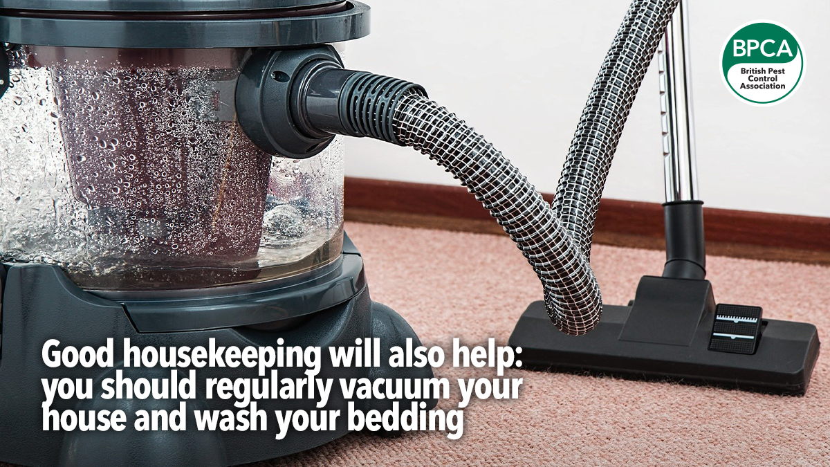 vacuum housekeeping vacuum housekeeping